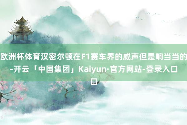欧洲杯体育汉密尔顿在F1赛车界的威声但是响当当的-开云「中国集团」Kaiyun·官方网站-登录入口