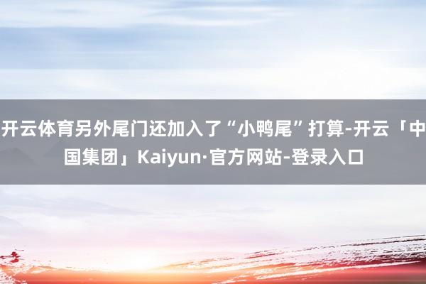 开云体育另外尾门还加入了“小鸭尾”打算-开云「中国集团」Kaiyun·官方网站-登录入口