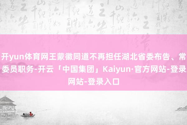 开yun体育网王蒙徽同道不再担任湖北省委布告、常委、委员职务-开云「中国集团」Kaiyun·官方网站-登录入口