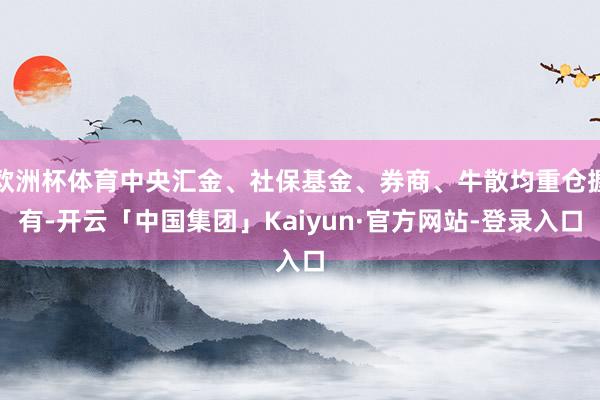 欧洲杯体育中央汇金、社保基金、券商、牛散均重仓握有-开云「中国集团」Kaiyun·官方网站-登录入口