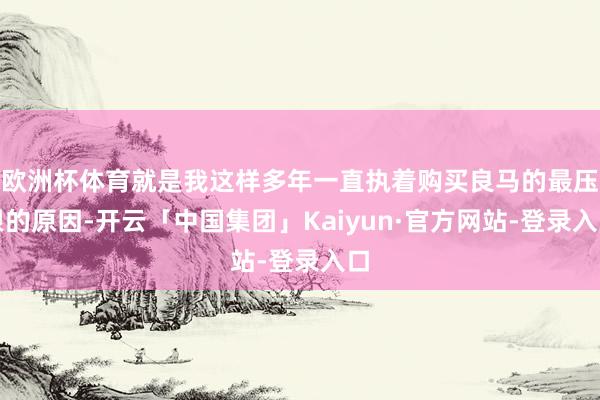 欧洲杯体育就是我这样多年一直执着购买良马的最压根的原因-开云「中国集团」Kaiyun·官方网站-登录入口