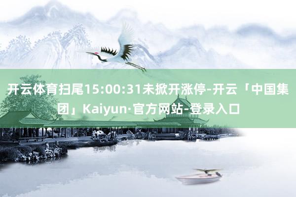 开云体育扫尾15:00:31未掀开涨停-开云「中国集团」Kaiyun·官方网站-登录入口